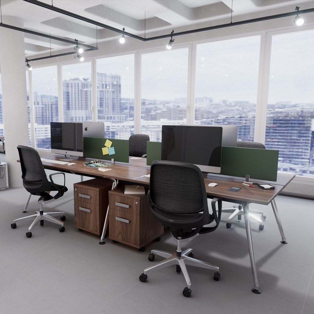 Zen Estación de Trabajo (2)